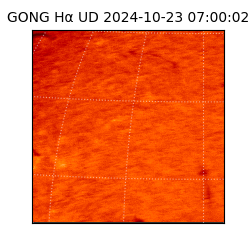 gong - 2024-10-23T07:00:02