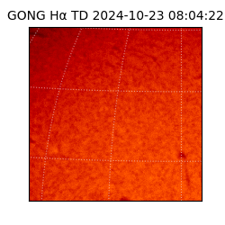 gong - 2024-10-23T08:04:22