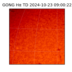 gong - 2024-10-23T09:00:22