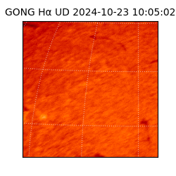 gong - 2024-10-23T10:05:02