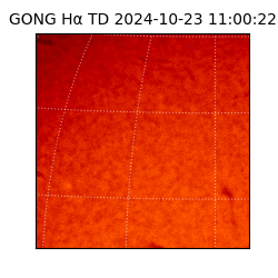 gong - 2024-10-23T11:00:22