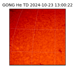 gong - 2024-10-23T13:00:22