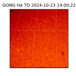 gong - 2024-10-23T14:00:22