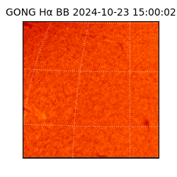 gong - 2024-10-23T15:00:02