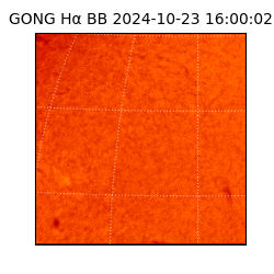 gong - 2024-10-23T16:00:02