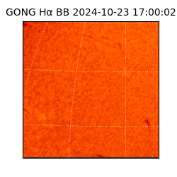 gong - 2024-10-23T17:00:02