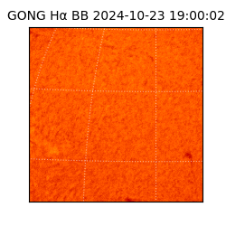 gong - 2024-10-23T19:00:02