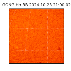 gong - 2024-10-23T21:00:02