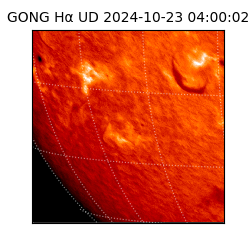 gong - 2024-10-23T04:00:02