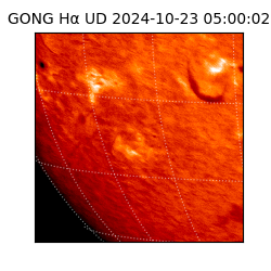 gong - 2024-10-23T05:00:02