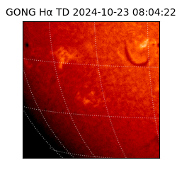 gong - 2024-10-23T08:04:22