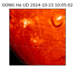 gong - 2024-10-23T10:05:02