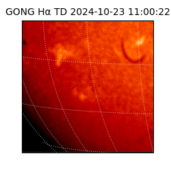 gong - 2024-10-23T11:00:22