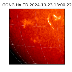 gong - 2024-10-23T13:00:22