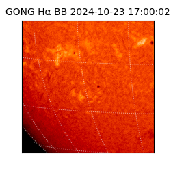 gong - 2024-10-23T17:00:02