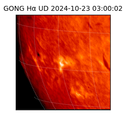 gong - 2024-10-23T03:00:02