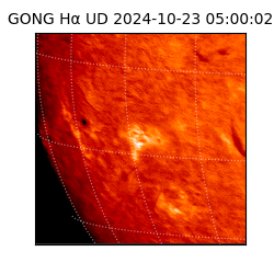 gong - 2024-10-23T05:00:02