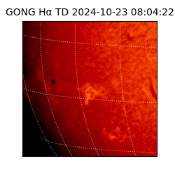 gong - 2024-10-23T08:04:22