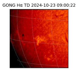 gong - 2024-10-23T09:00:22