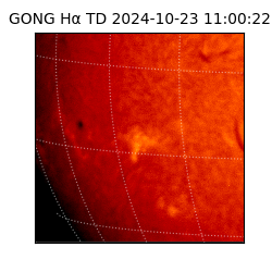 gong - 2024-10-23T11:00:22