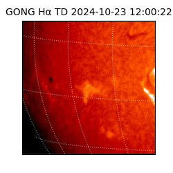 gong - 2024-10-23T12:00:22