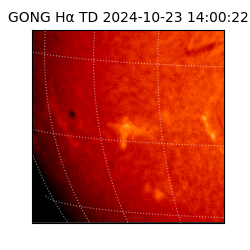 gong - 2024-10-23T14:00:22