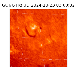 gong - 2024-10-23T03:00:02