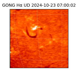 gong - 2024-10-23T07:00:02