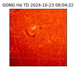 gong - 2024-10-23T08:04:22