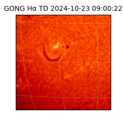 gong - 2024-10-23T09:00:22