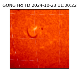 gong - 2024-10-23T11:00:22