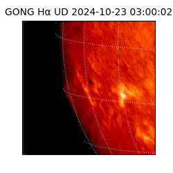 gong - 2024-10-23T03:00:02