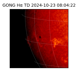 gong - 2024-10-23T08:04:22