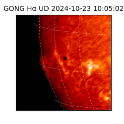 gong - 2024-10-23T10:05:02