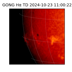 gong - 2024-10-23T11:00:22