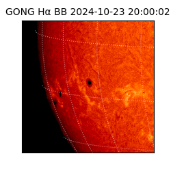 gong - 2024-10-23T20:00:02