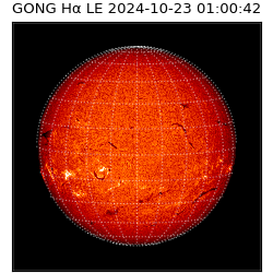 gong - 2024-10-23T01:00:42