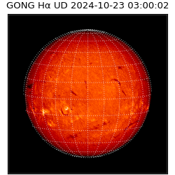 gong - 2024-10-23T03:00:02