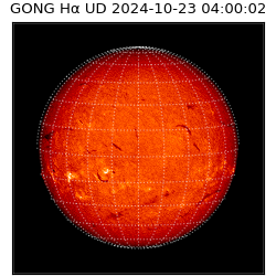 gong - 2024-10-23T04:00:02