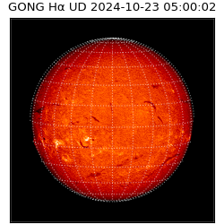 gong - 2024-10-23T05:00:02