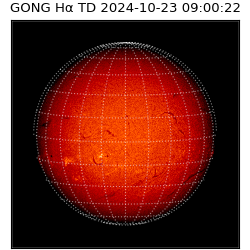 gong - 2024-10-23T09:00:22