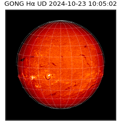 gong - 2024-10-23T10:05:02