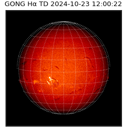 gong - 2024-10-23T12:00:22