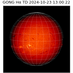 gong - 2024-10-23T13:00:22