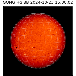 gong - 2024-10-23T15:00:02