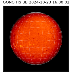 gong - 2024-10-23T16:00:02