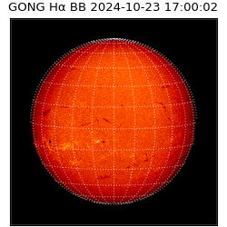 gong - 2024-10-23T17:00:02