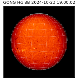 gong - 2024-10-23T19:00:02