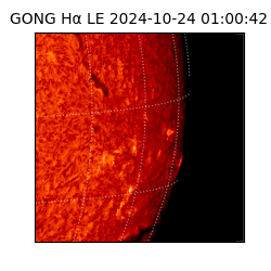 gong - 2024-10-24T01:00:42