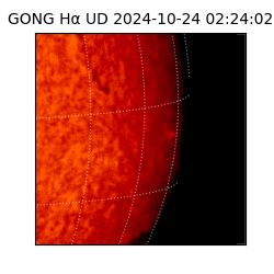 gong - 2024-10-24T02:24:02